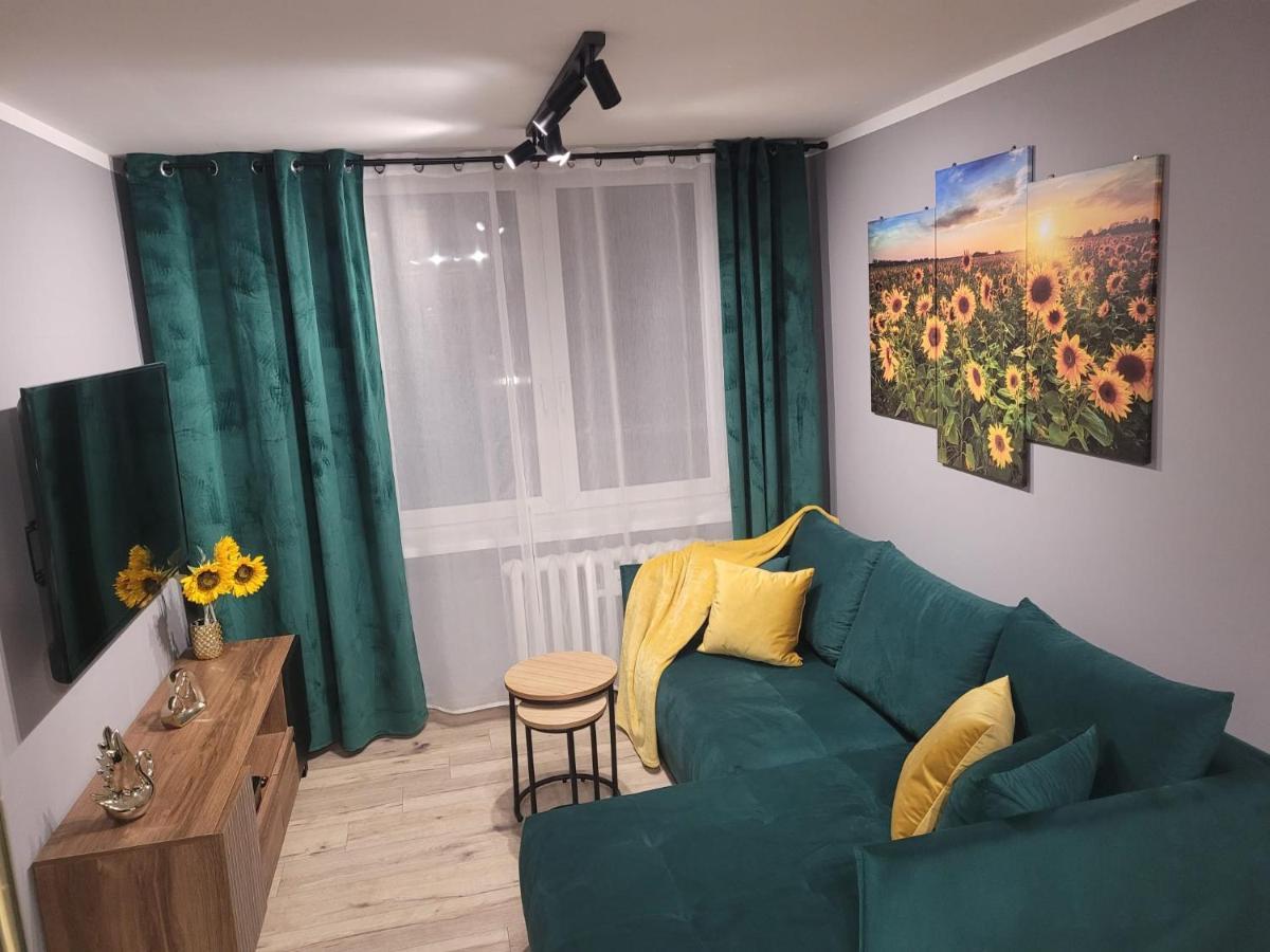 Apartmán Apertment Wenus Zabrze Exteriér fotografie